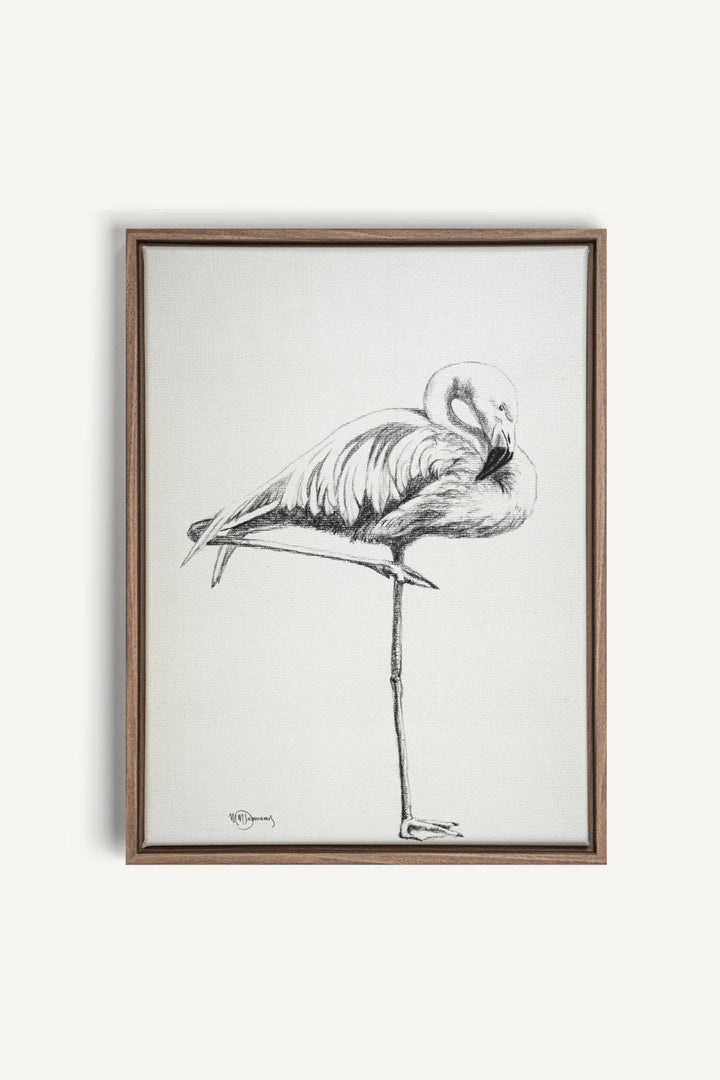 Pink Flamingo, canvas print