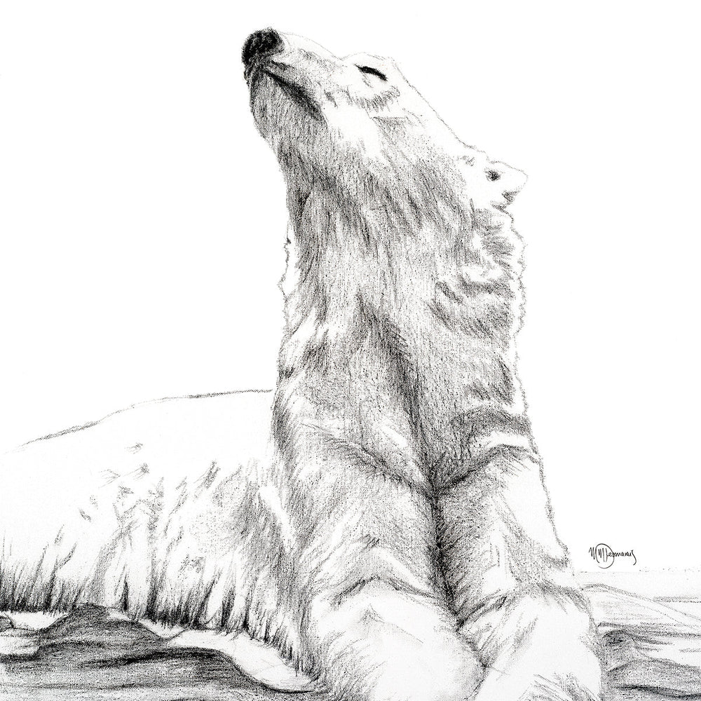 Polar Bear Sunbath - wildlife art Print - LE NID atelier