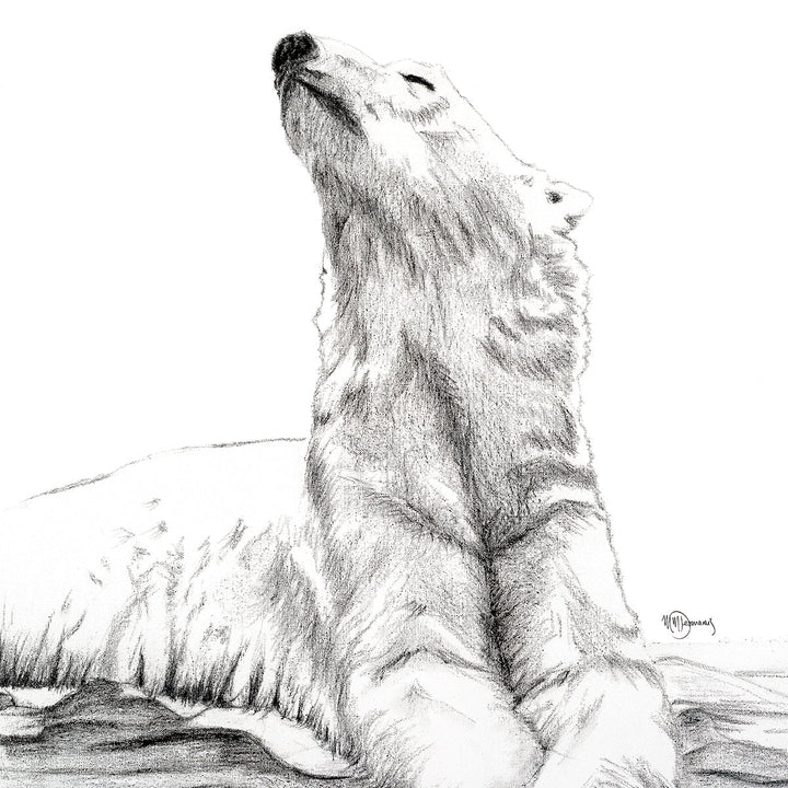 Polar Bear Sunbath - wildlife art Print - LE NID atelier