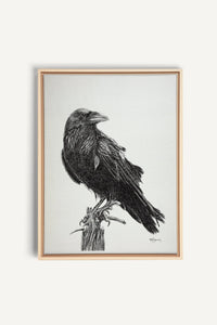 Raven, canvas print