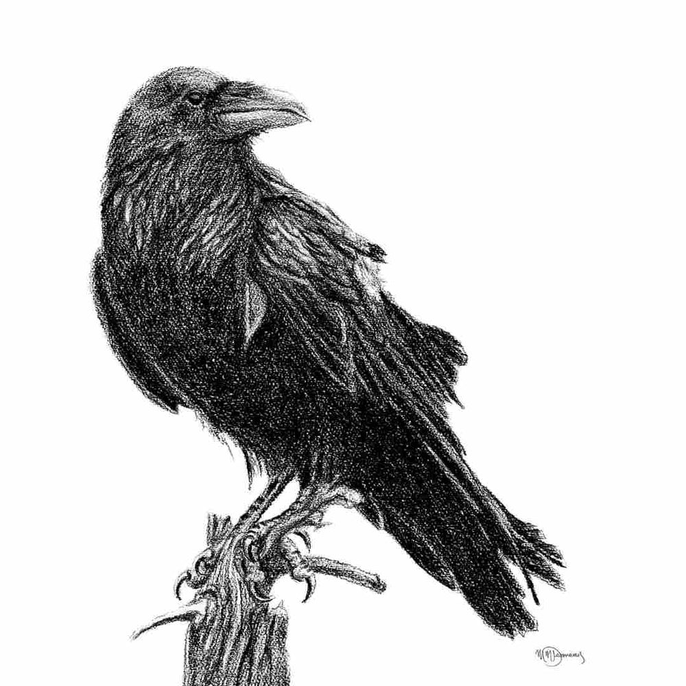Raven - greeting card - LE NID atelier