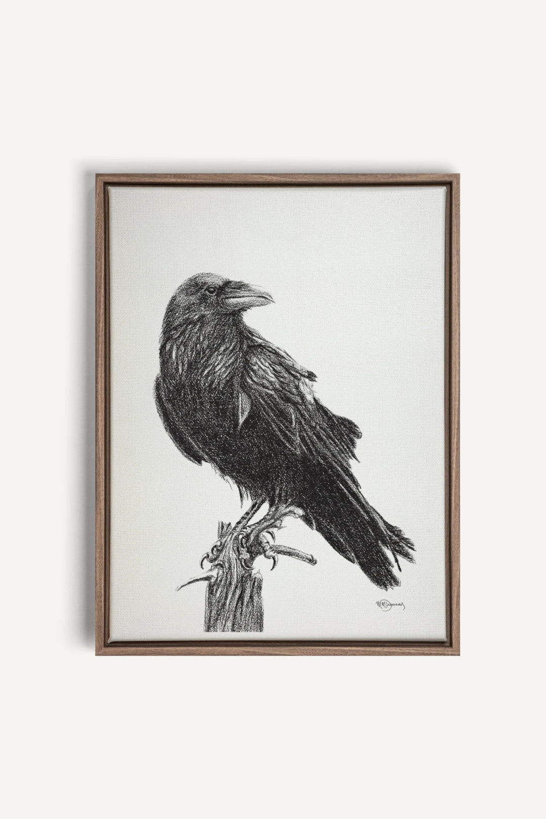 Raven, canvas print