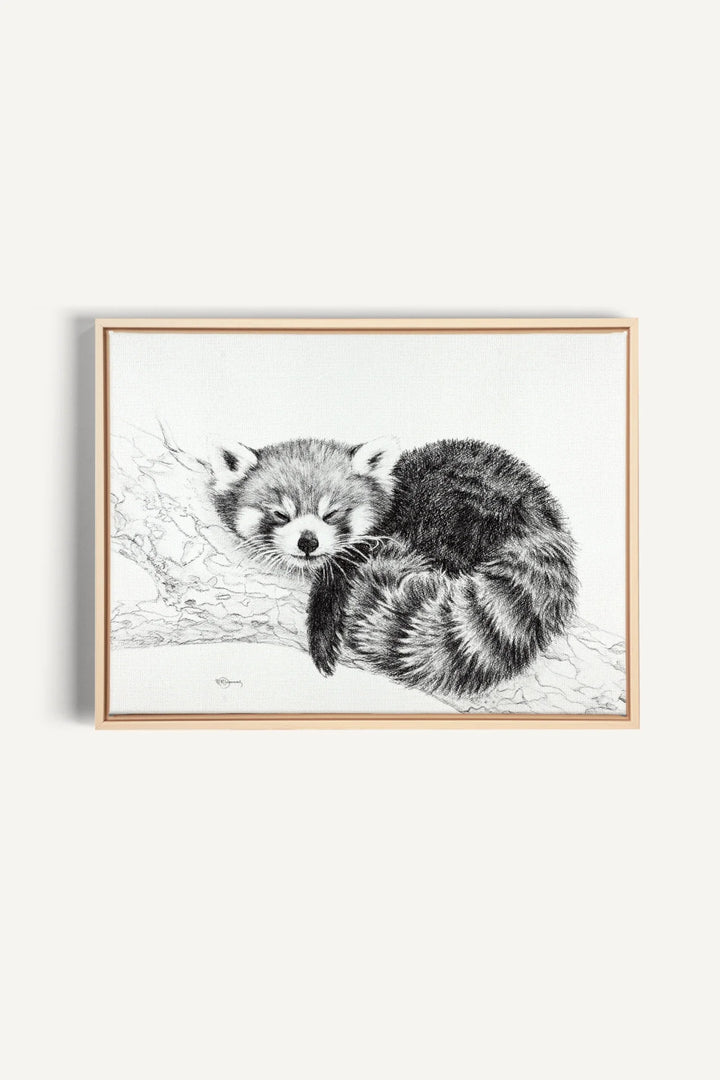 Red Panda collaboration with La Fondation du Zoo de Granby, canvas print