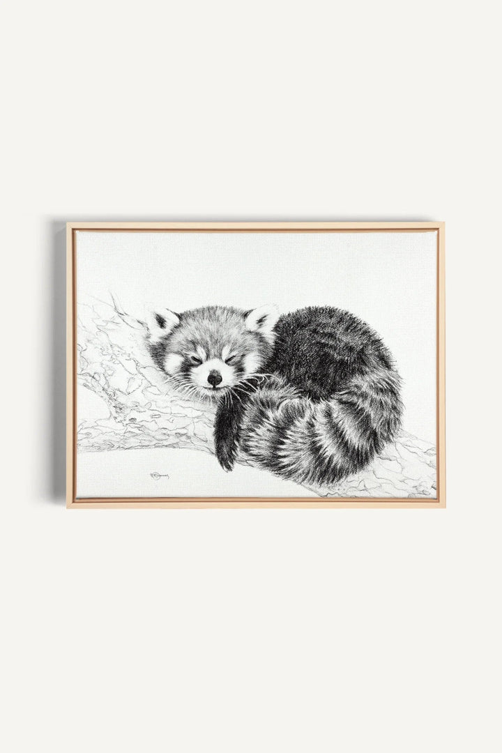Red Panda collaboration with La Fondation du Zoo de Granby, canvas print - LE NID atelier
