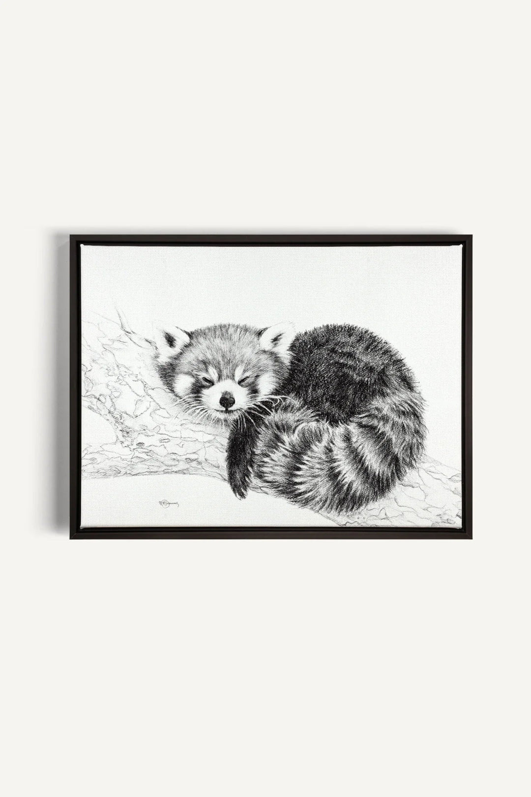 Red Panda collaboration with La Fondation du Zoo de Granby, canvas print - LE NID atelier