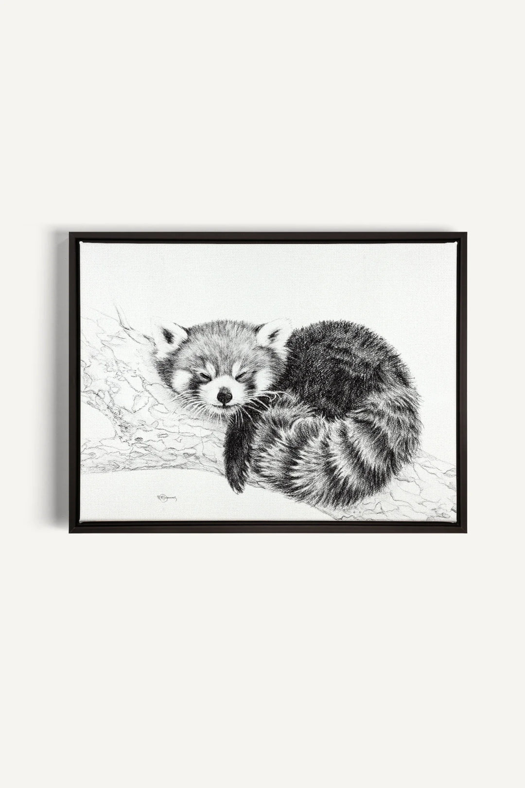 Red Panda collaboration with La Fondation du Zoo de Granby, canvas print