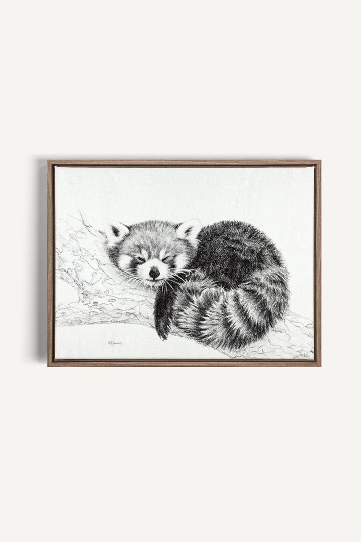 Red Panda collaboration with La Fondation du Zoo de Granby, canvas print