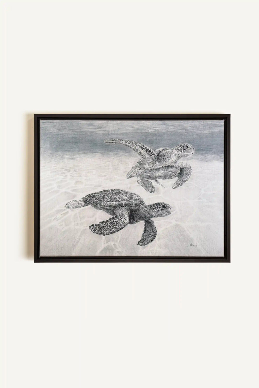 Sea Turtles "Social Animal" Collection, canvas print