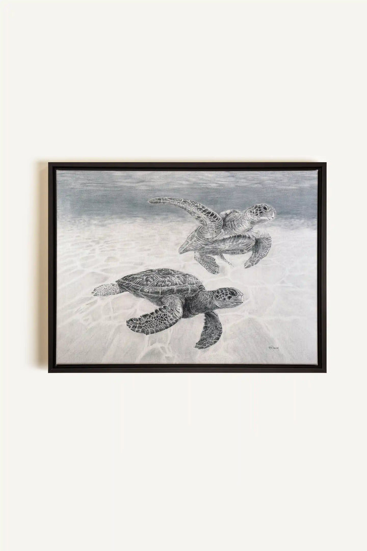 Sea Turtles "Social Animal" Collection, canvas print