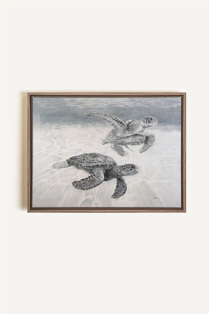 Sea Turtles "Social Animal" Collection, canvas print