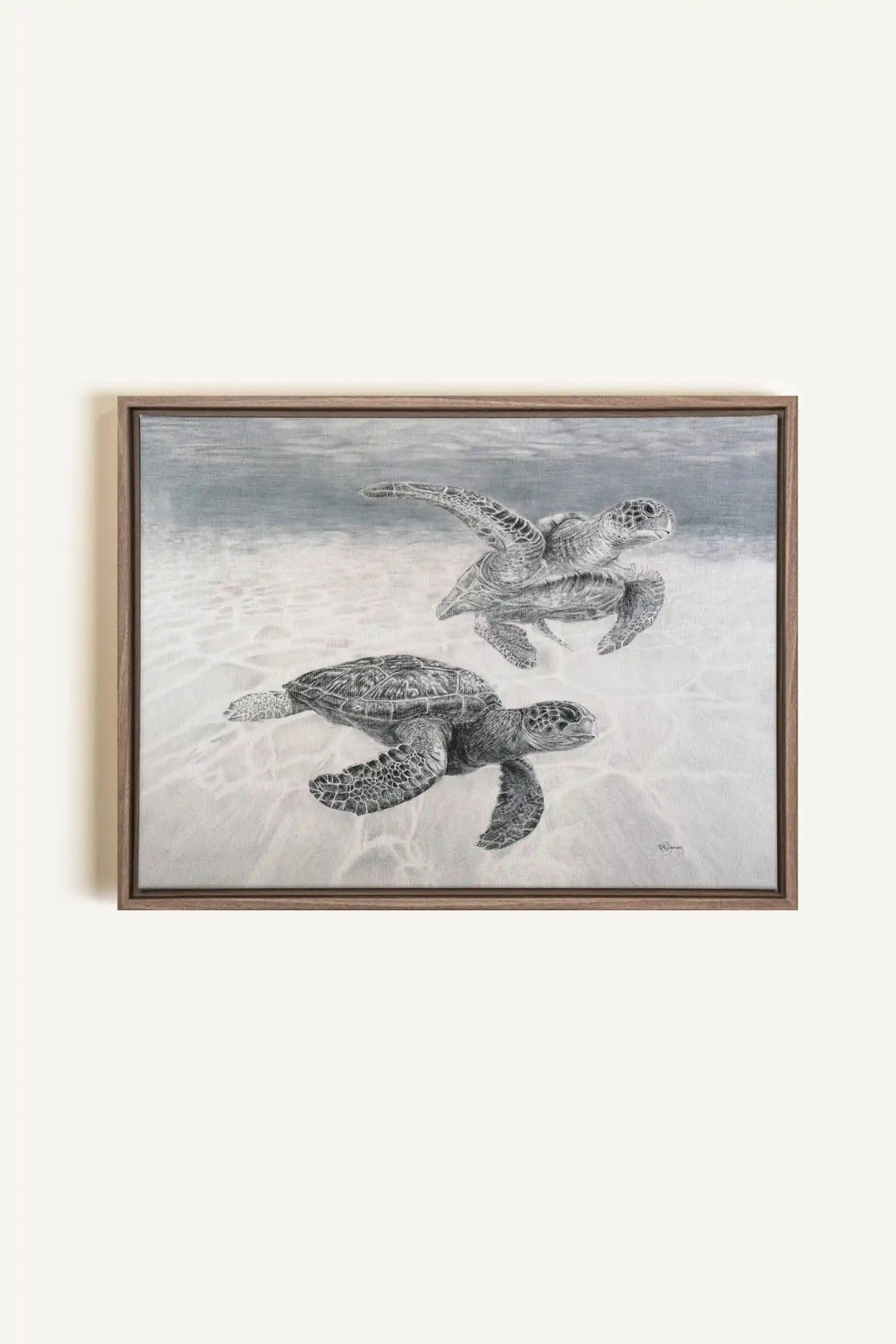 Sea Turtles "Social Animal" Collection, canvas print - LE NID atelier