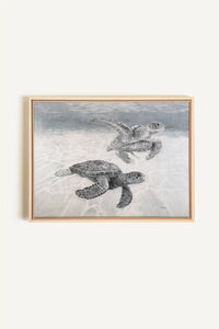 Sea Turtles, canvas print