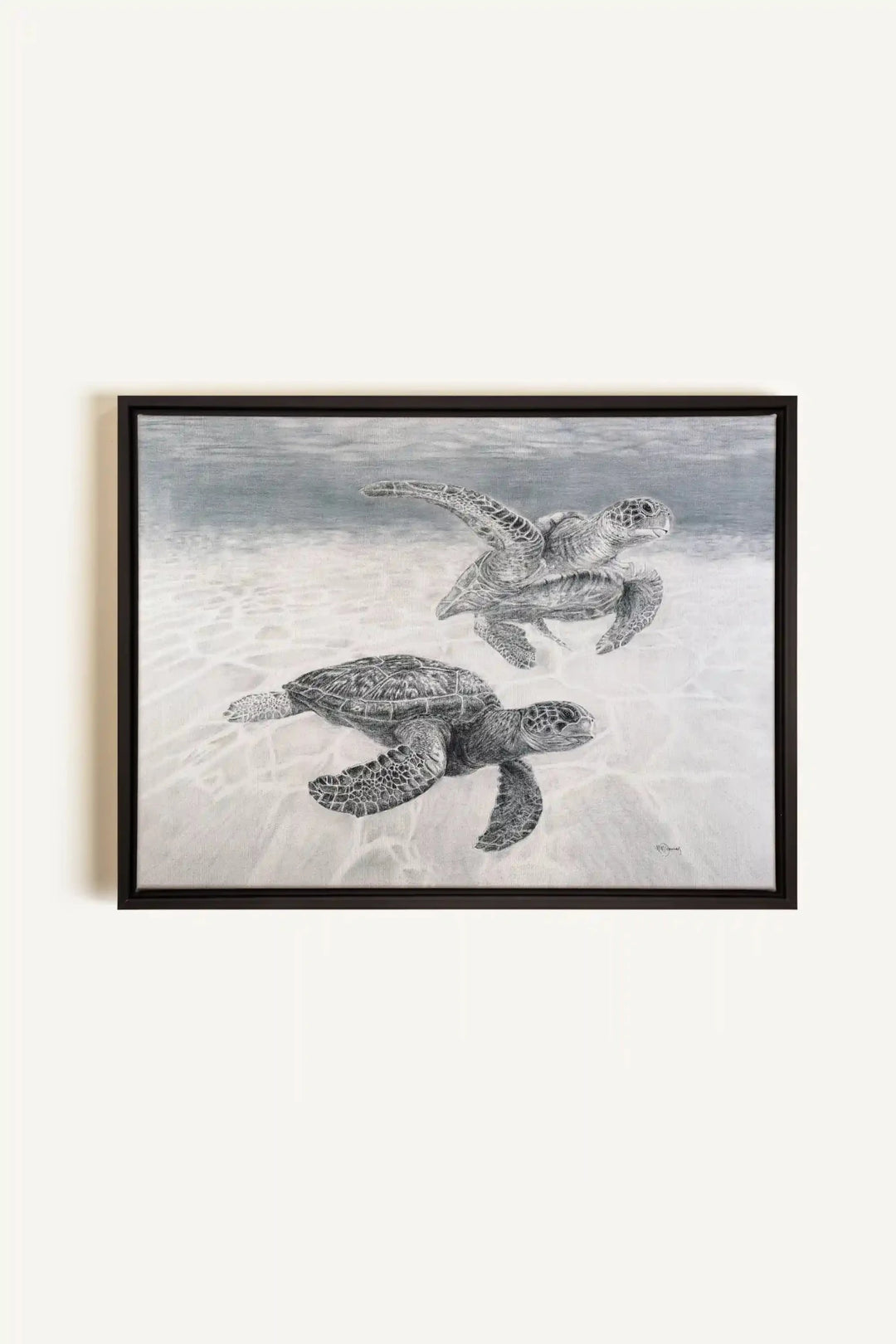 Sea Turtles "Social Animal" Collection, canvas print - LE NID atelier