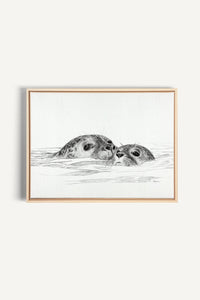 Seal with cub, canvas print