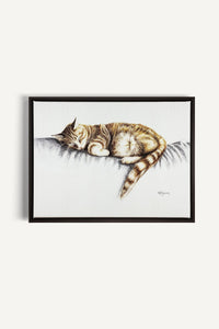 Sleeping Cat, canvas print