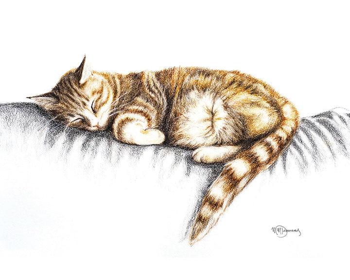 Sleeping Cat - Greeting Card - LE NID atelier
