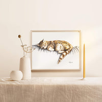 Chat endormi - Affiche - couleur