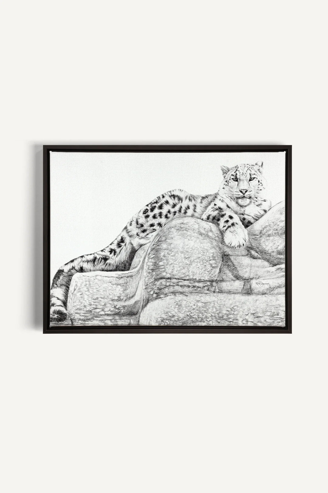 Snow Leopard- collaboration with  La Fondation du Zoo de Granby, canvas print