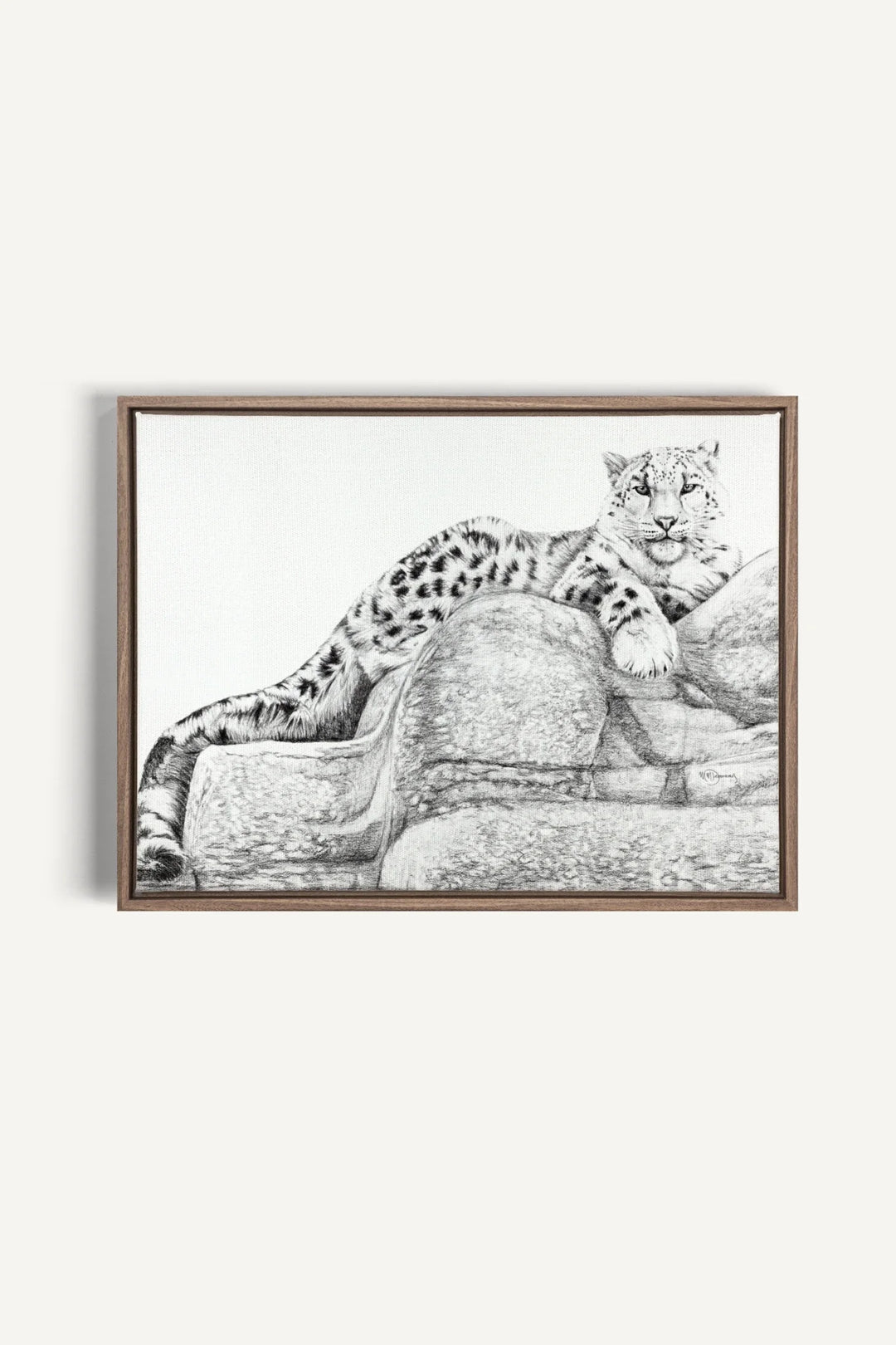 Snow Leopard- collaboration with  La Fondation du Zoo de Granby, canvas print
