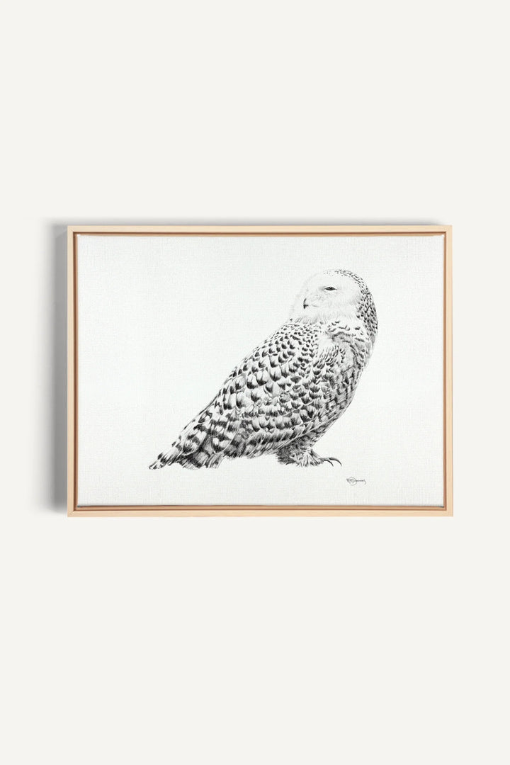 Snowy Owl, canvas print