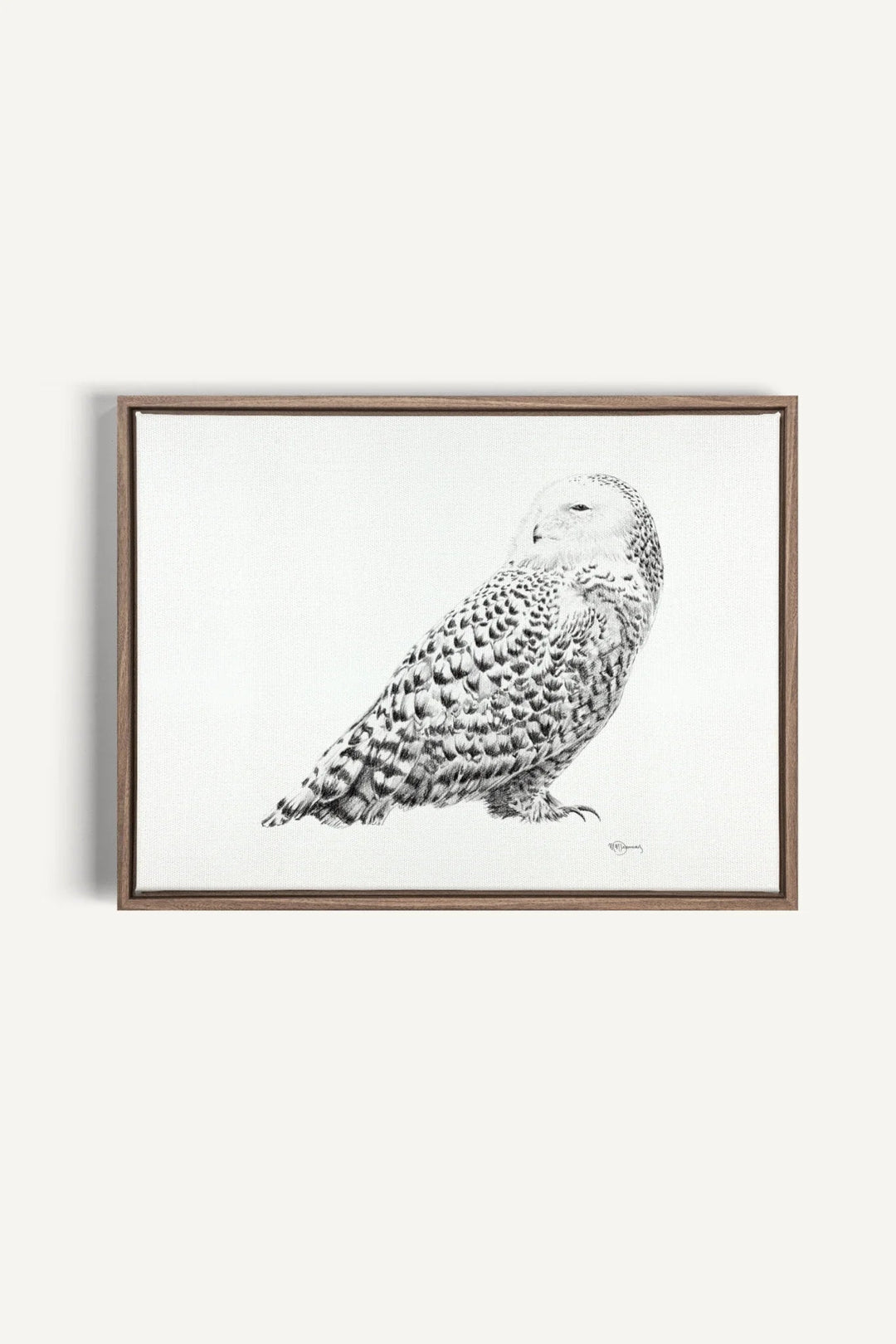 Snowy Owl, canvas print - LE NID atelier