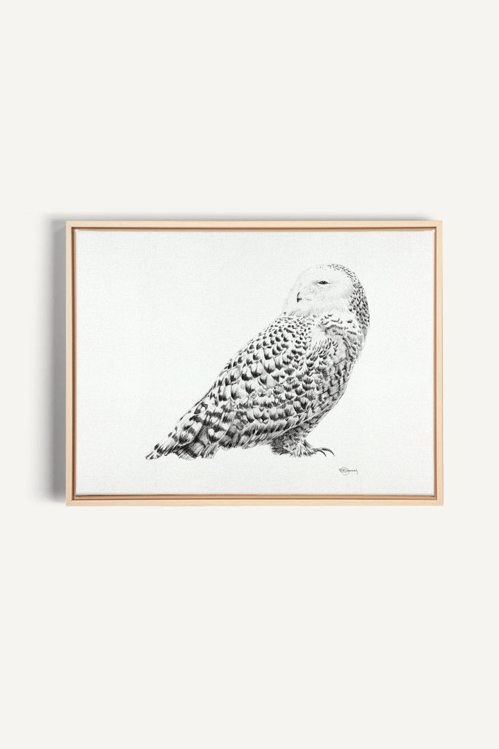 Snowy Owl, canvas print - LE NID atelier