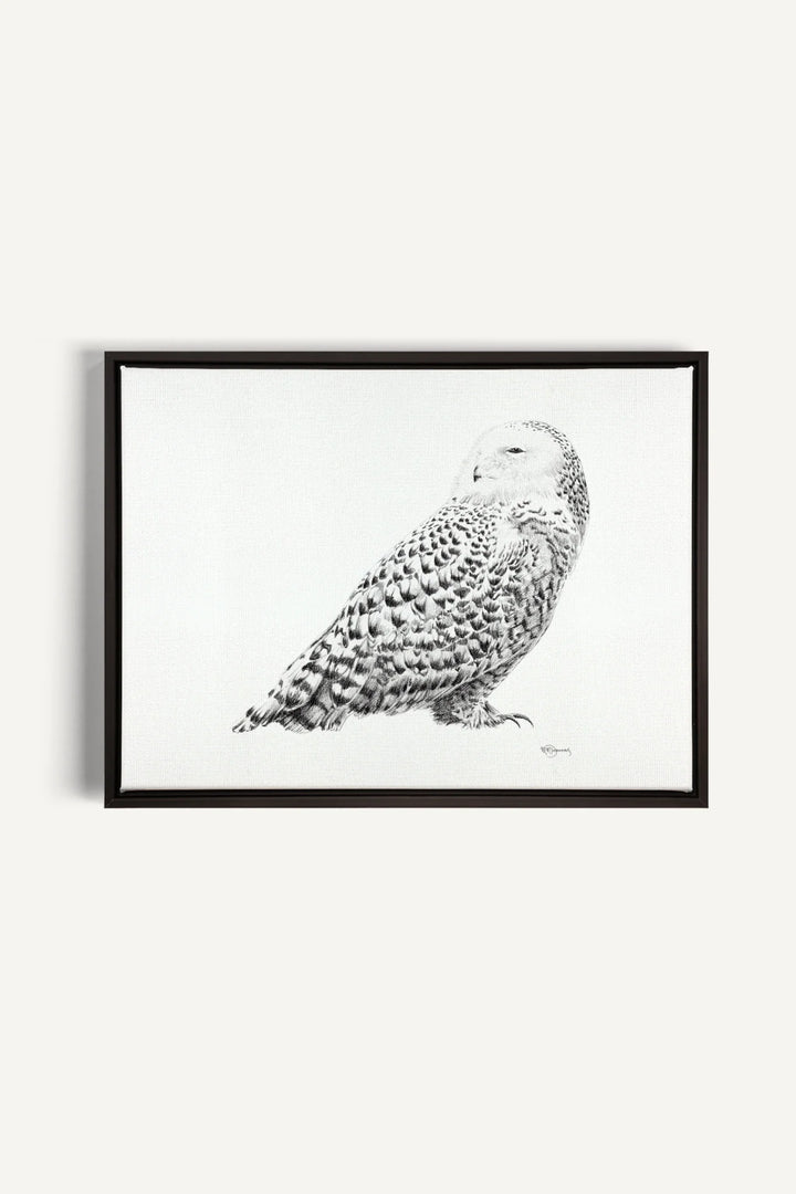 Snowy Owl, canvas print