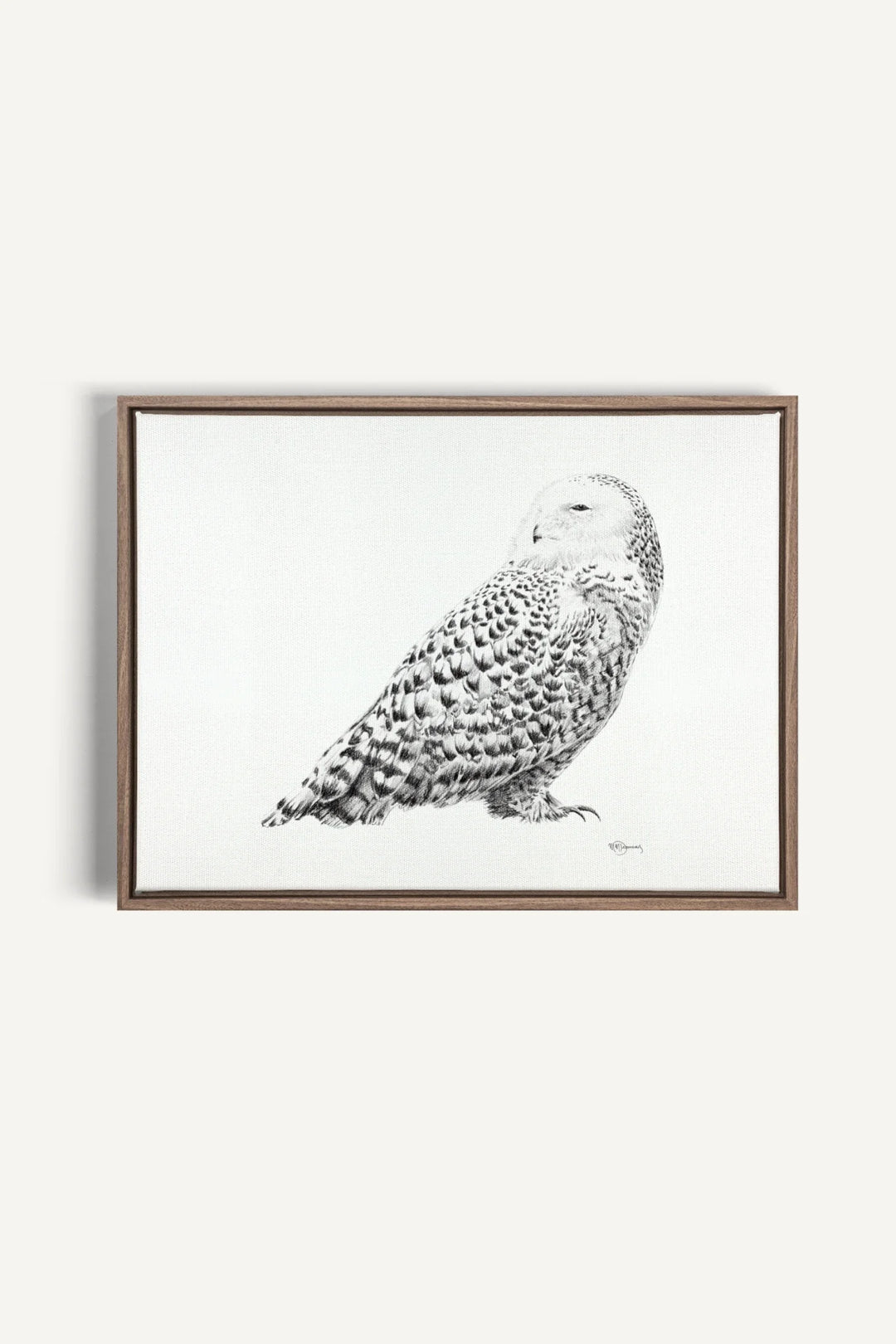 Snowy Owl, canvas print