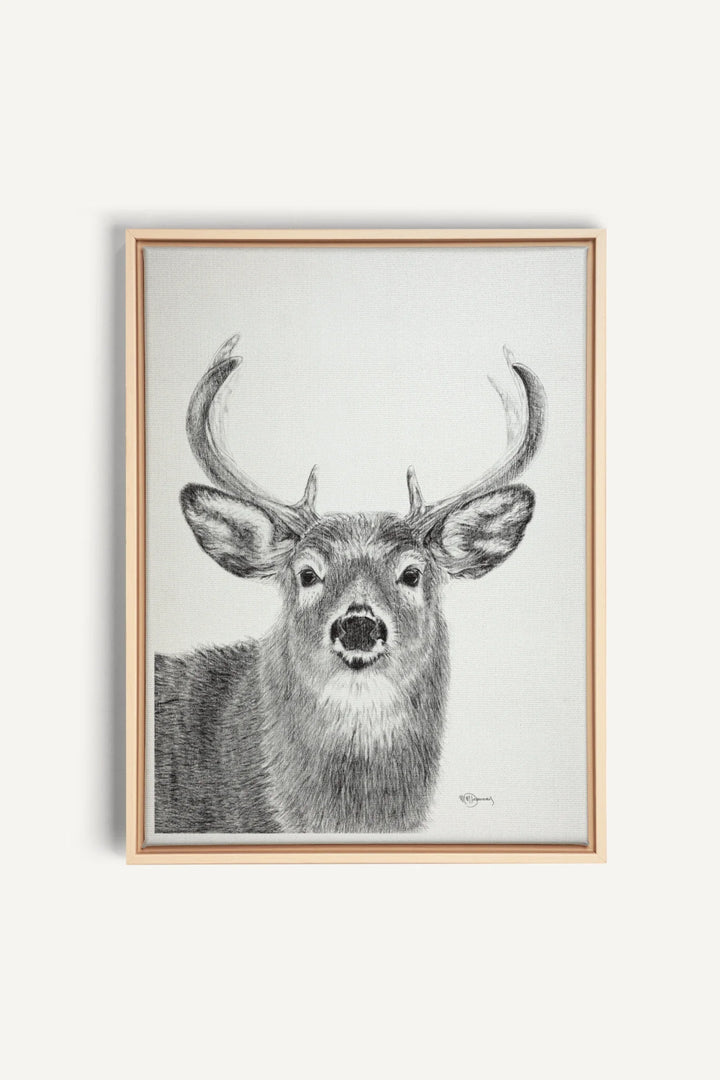 Stag, canvas print