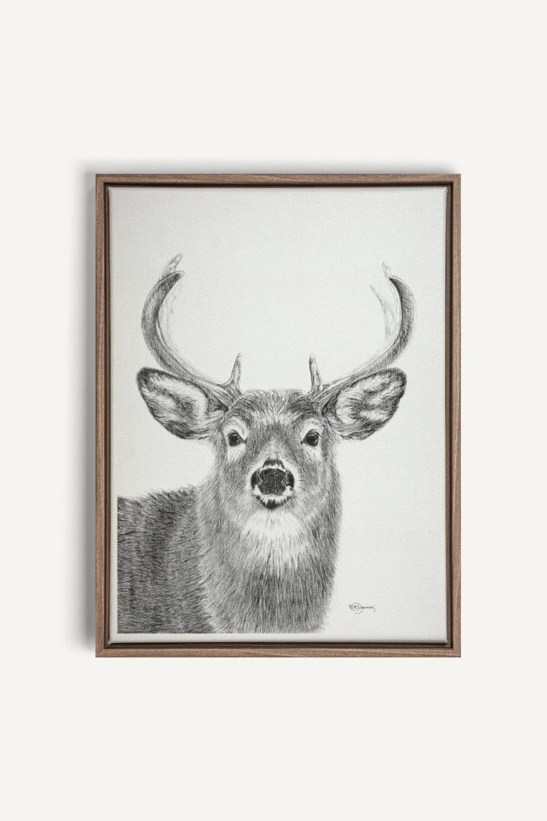 Stag, canvas print - LE NID atelier