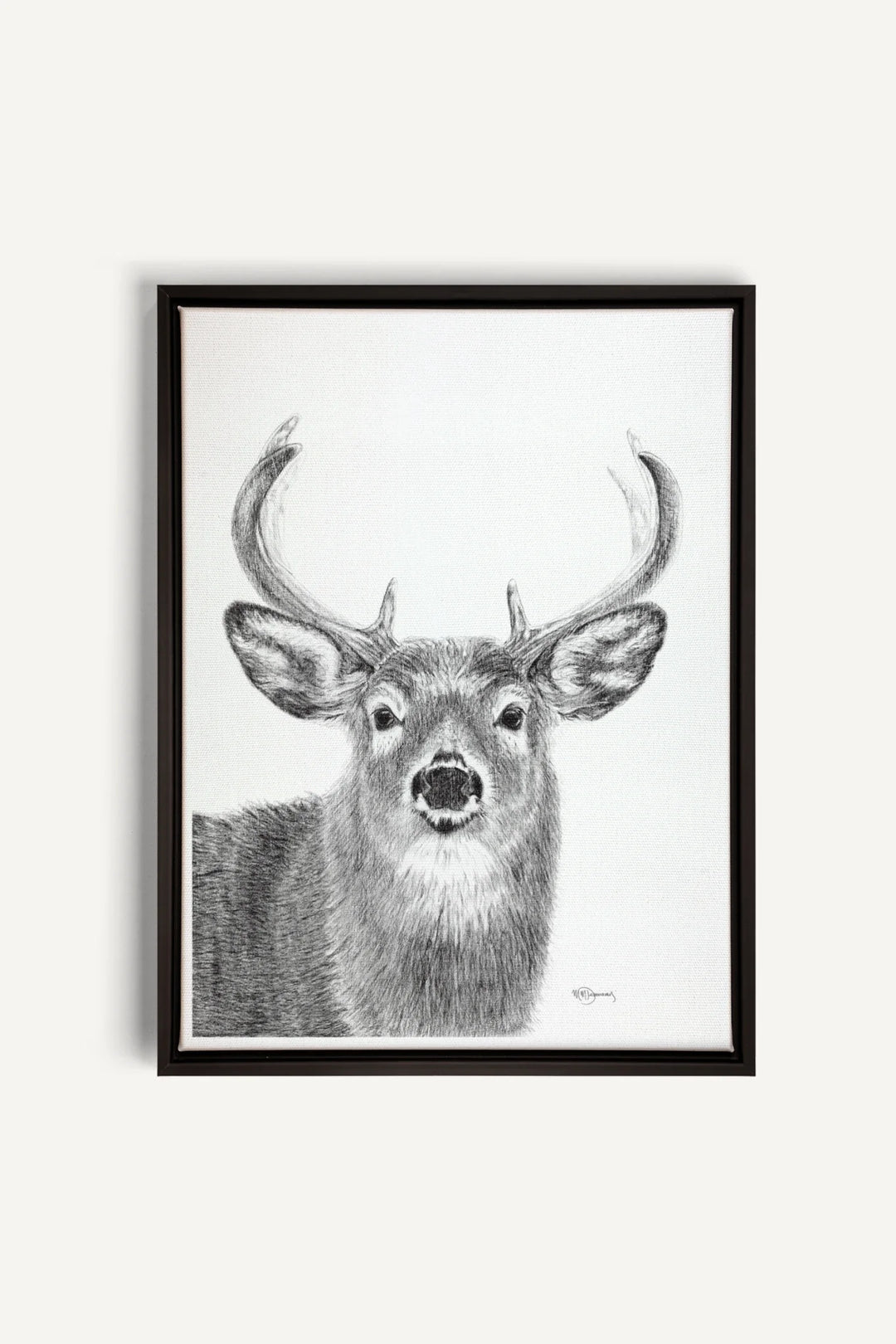 Stag, canvas print