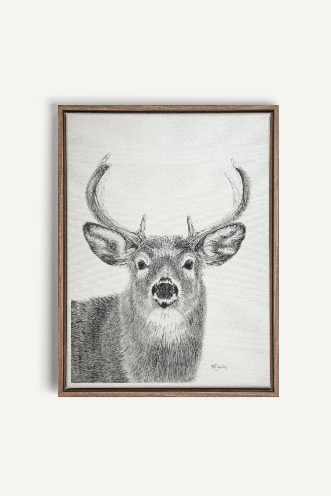 Stag, canvas print