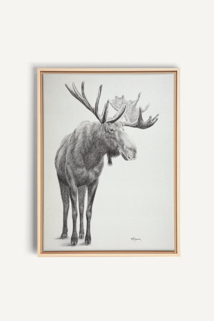 Standing Moose, canvas print