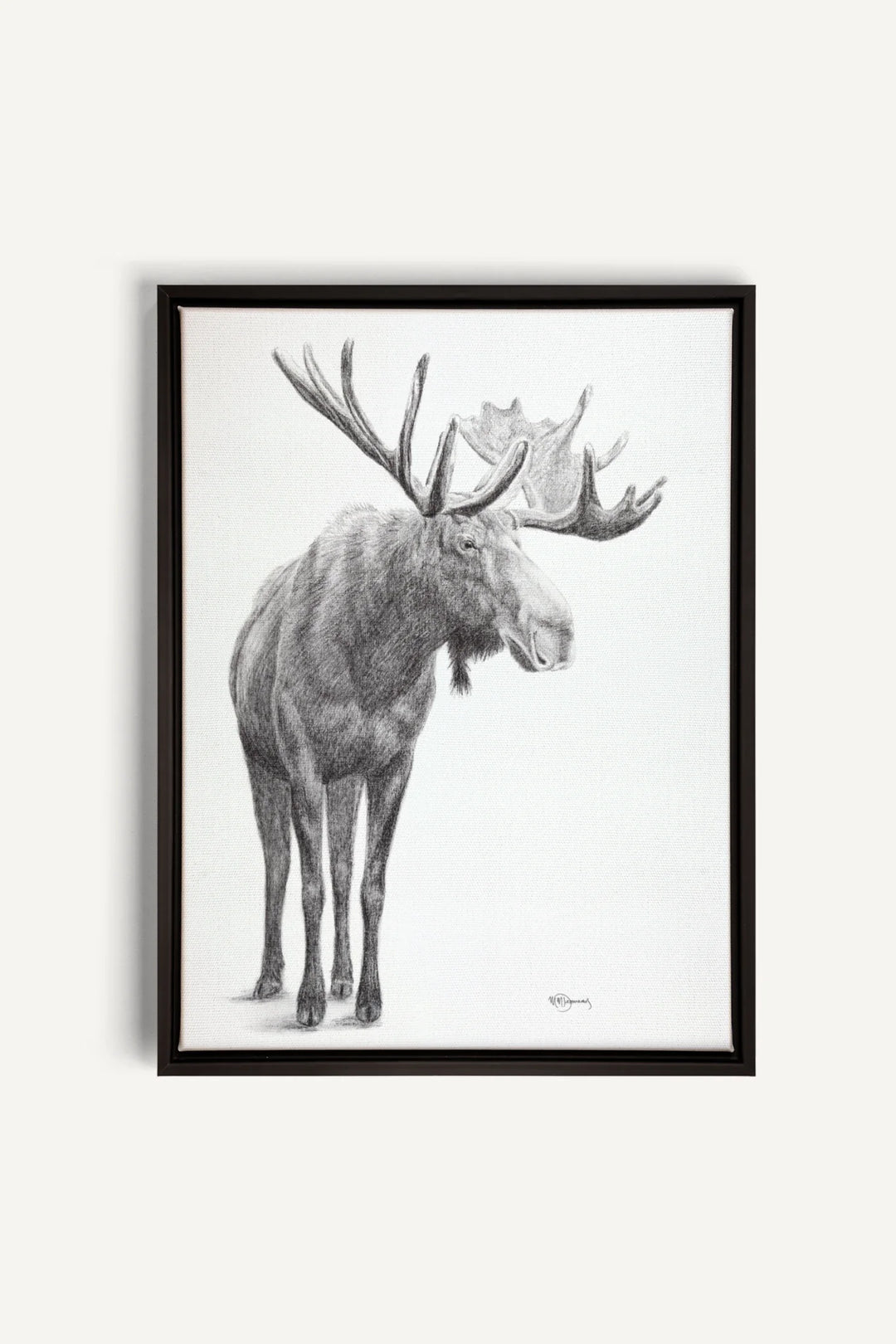 Standing Moose, canvas print