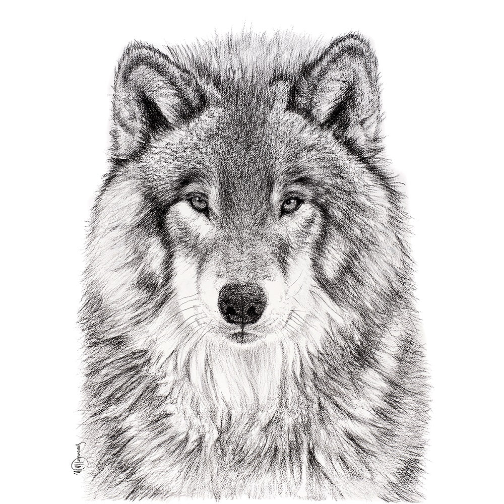 The Wolf Greeting Card - LE NID atelier