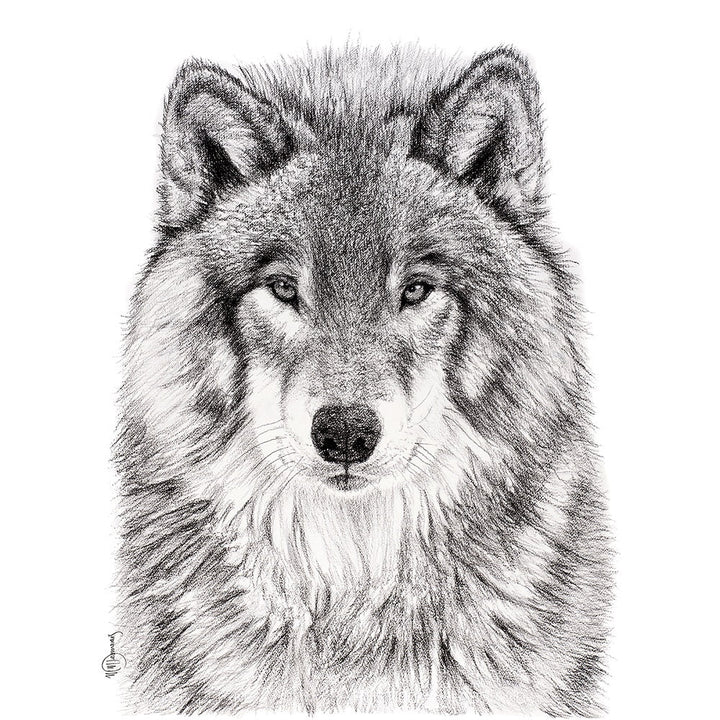 The Wolf Greeting Card - LE NID atelier