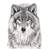 The Wolf  Portrait - Woodland Animal Wall Art