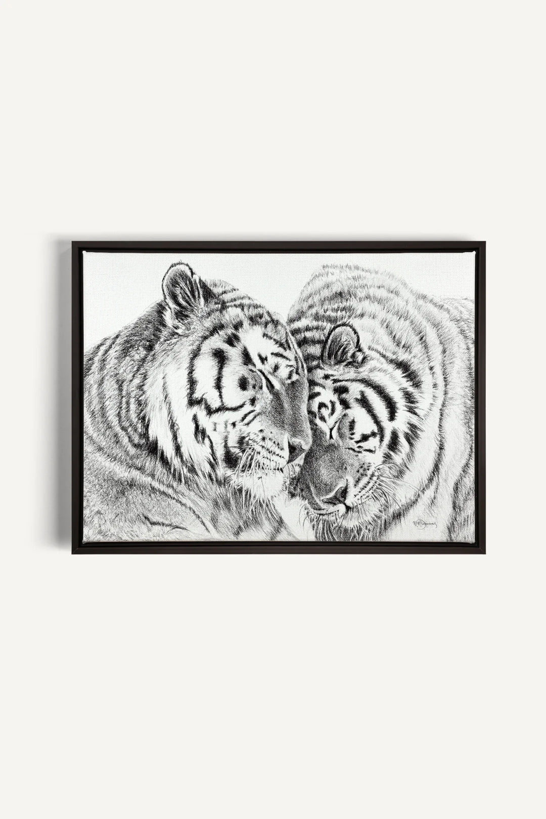 Tigers Amur Tigers collaboration with  La Fondation du Zoo de Granby, canvas print