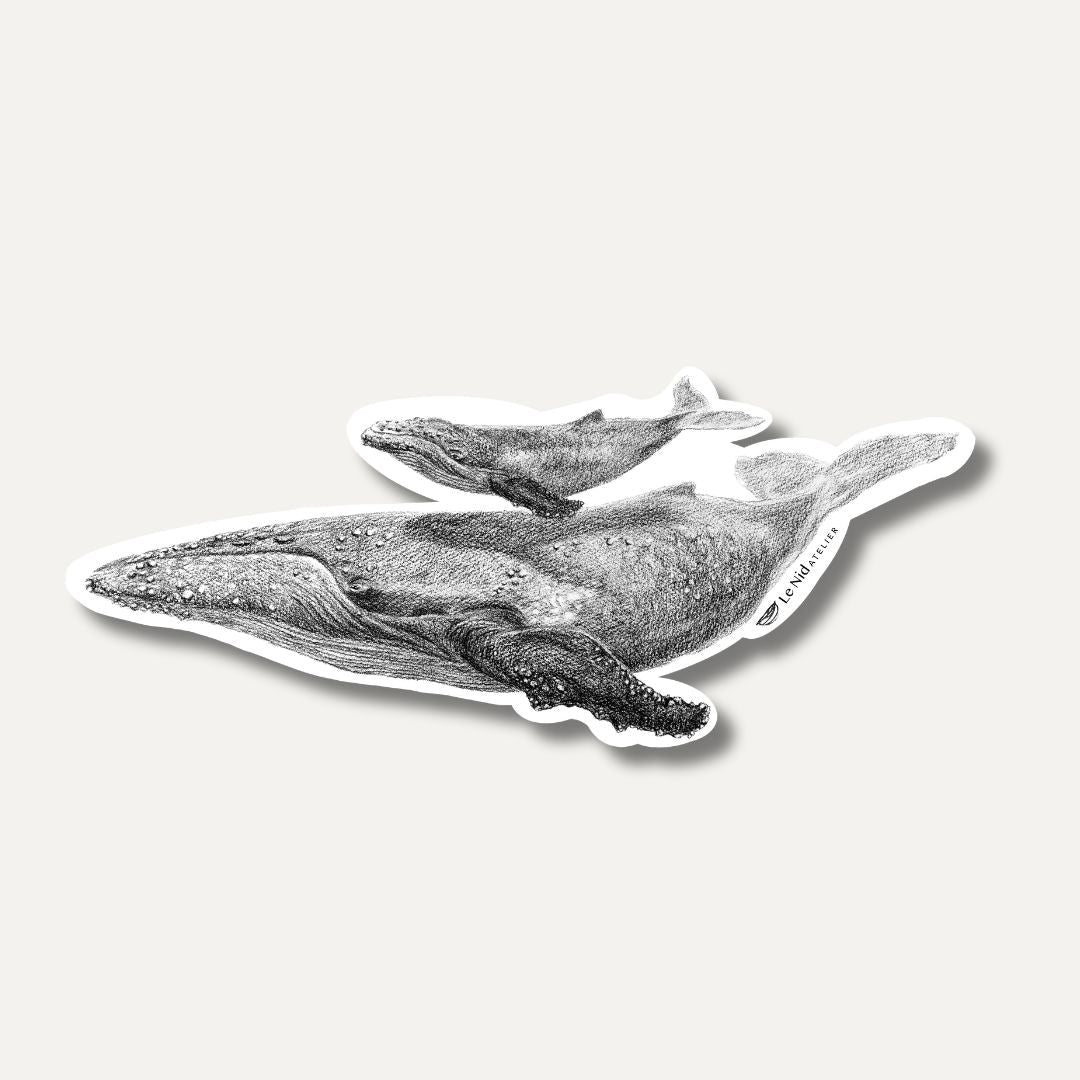 Whale with cub - Magnet - LE NID atelier