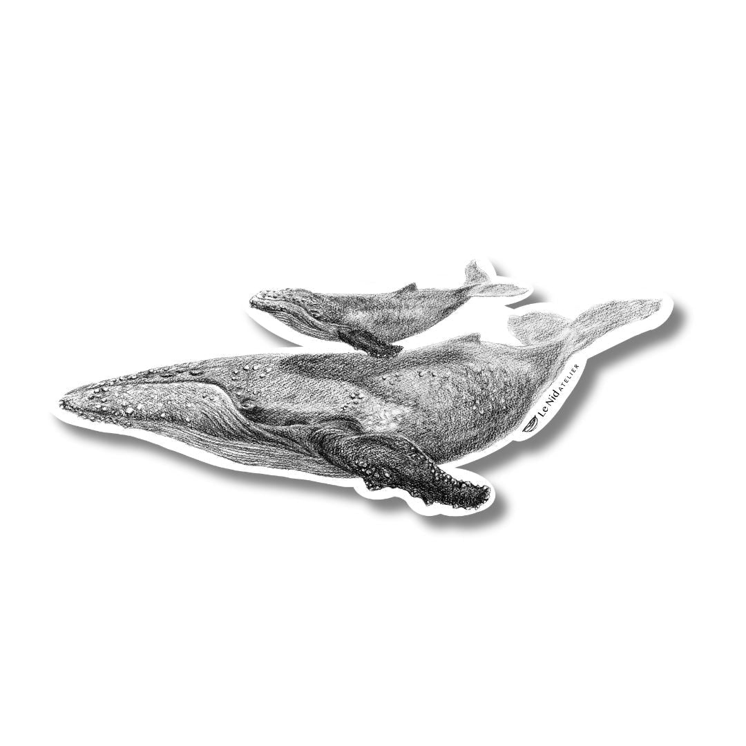 Whale with cub - Magnet - LE NID atelier