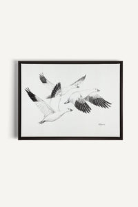 White Geese, canvas print