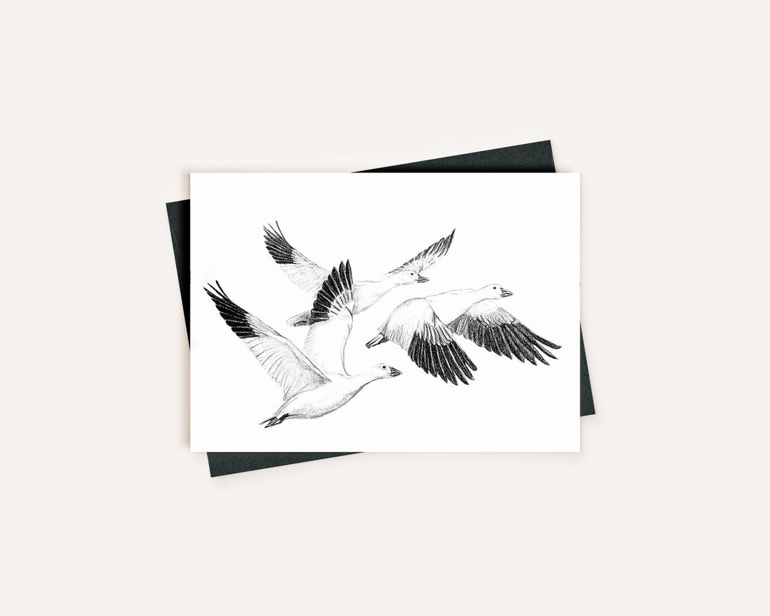 White Geese - Greeting Card - LE NID atelier