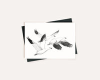 White Geese - Greeting Card