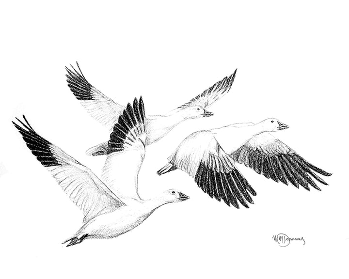 White Geese - Greeting Card - LE NID atelier