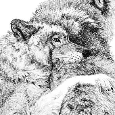 Wolf Cuddles - greeting card - LE NID atelier