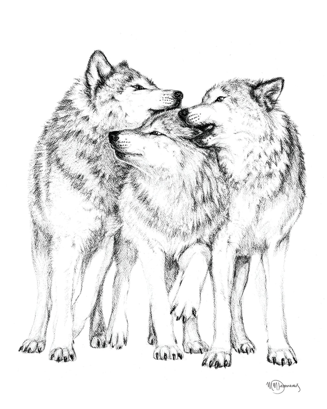 Wolf Pack - Greeting Card - LE NID atelier