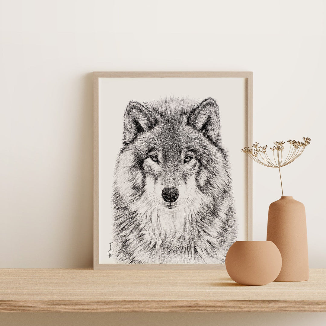 Wolf Portrait illustration Rigid Framed Canvas - Main Image