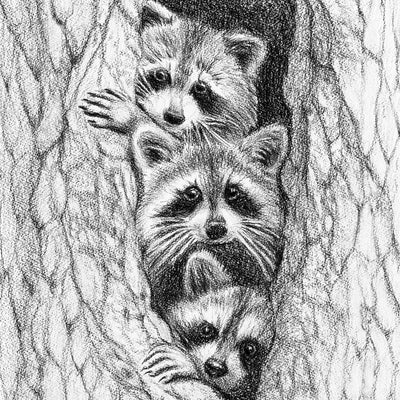 3 Raccoon in a tree - LE NID atelier