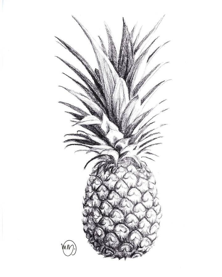 Pineapple illustration