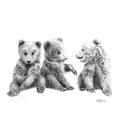 3 Brown Bear Cubs Illustration - "Social Animal" Collection